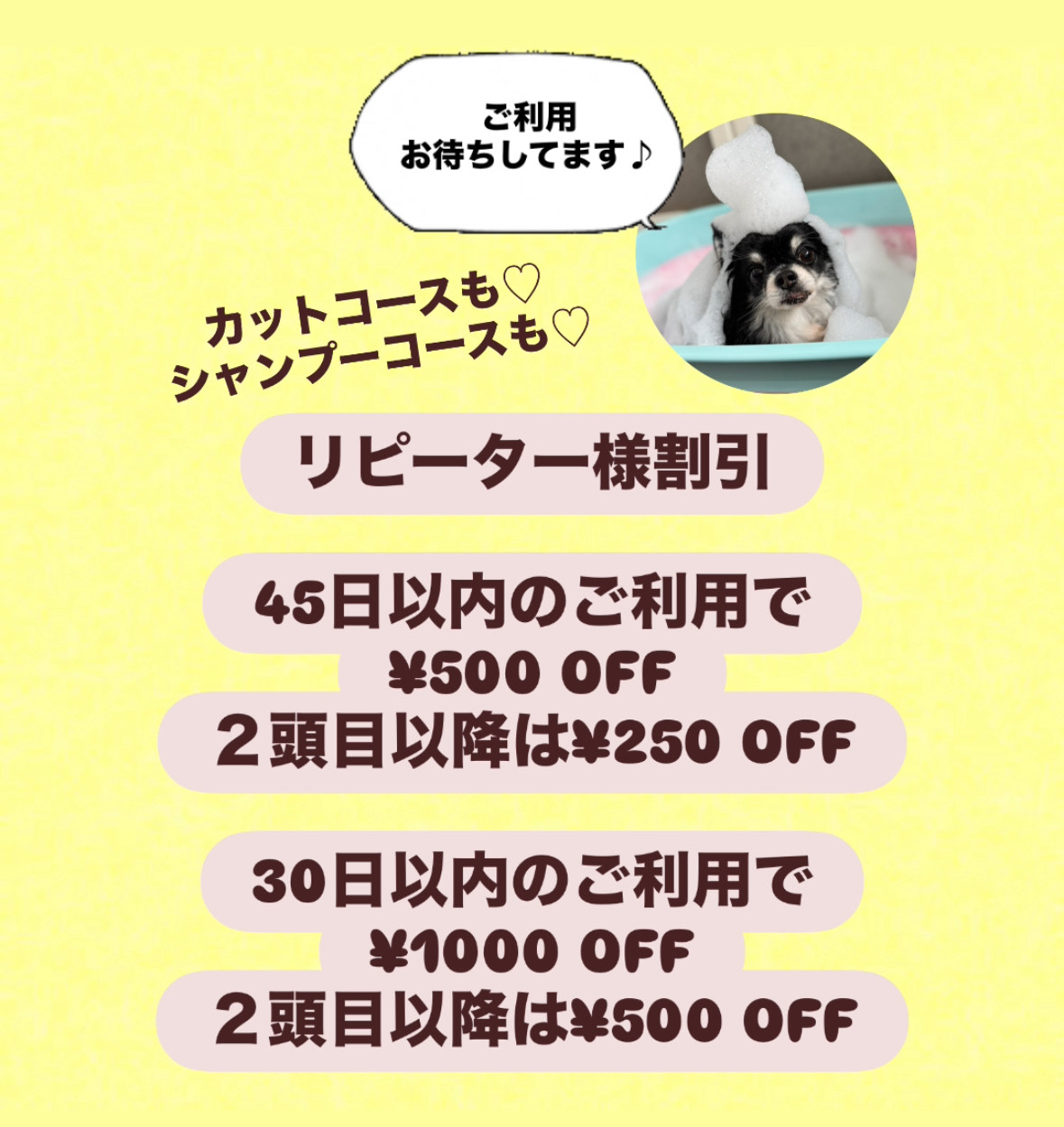 リピーター様割引