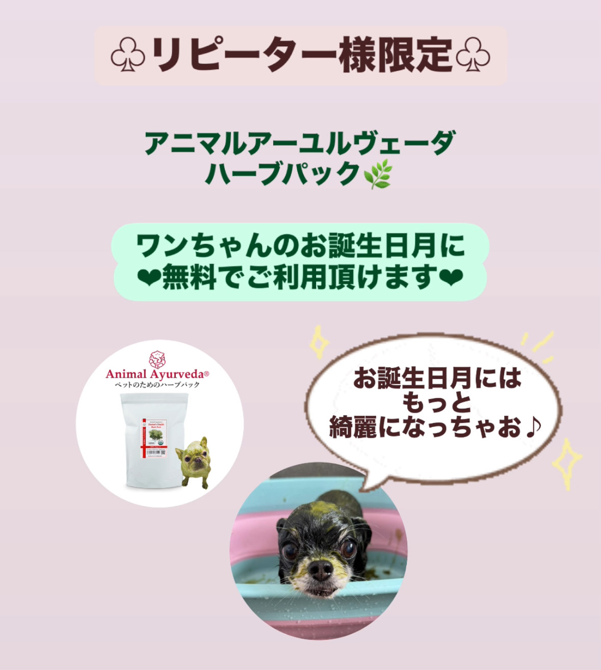 リピーター様割引