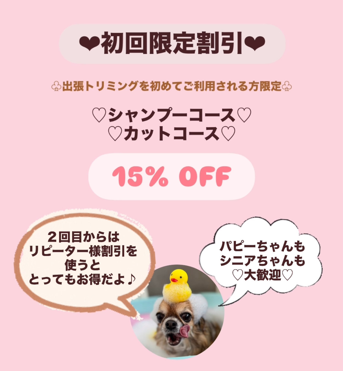 初回限定割引